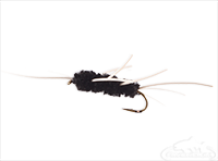 Girdle Bug, Black, White Legs
