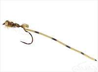 buy Damsel Fly, Adult, Olive