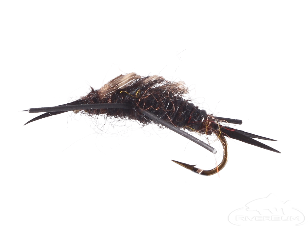 Stonefly Nymph, Rubber Legs, Black