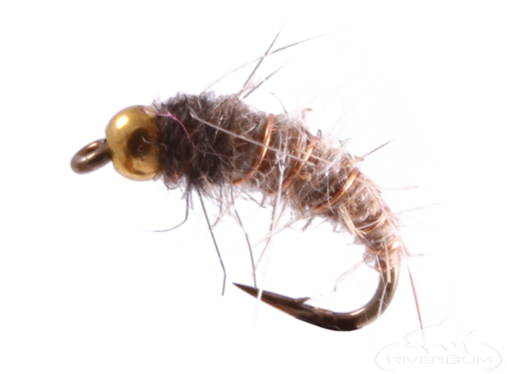 Caddis Pupa, Bead Head, Hares Ear