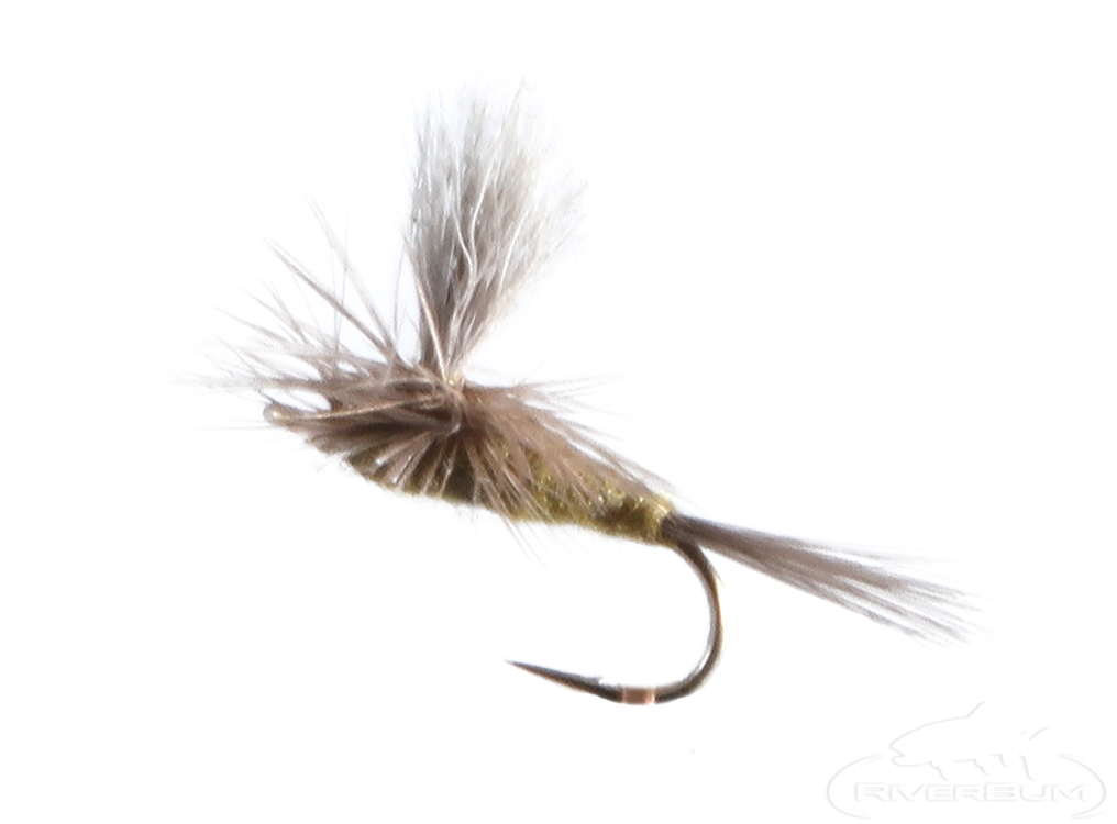 Blue Winged Olive, Parachute, Dun Post