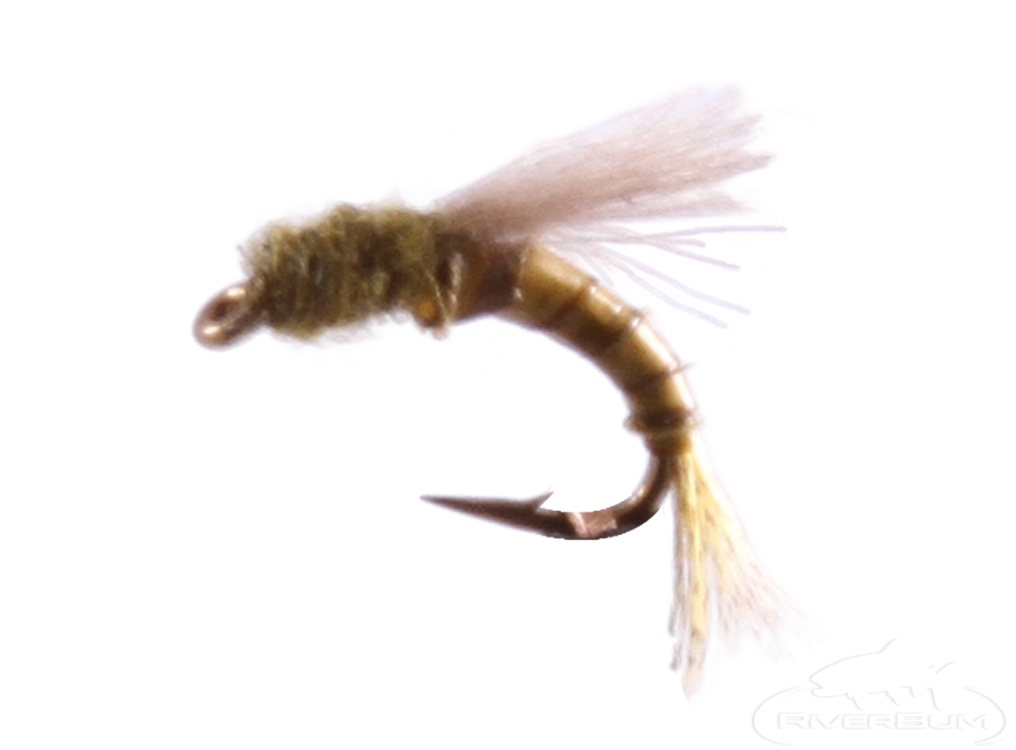 Blue Winged Olive Emerger, RS2