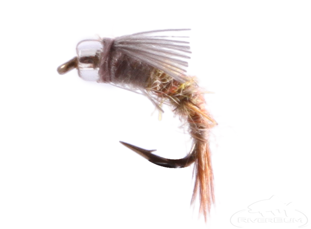 Barr Emerger, Bead Head, Blue Wing Olive