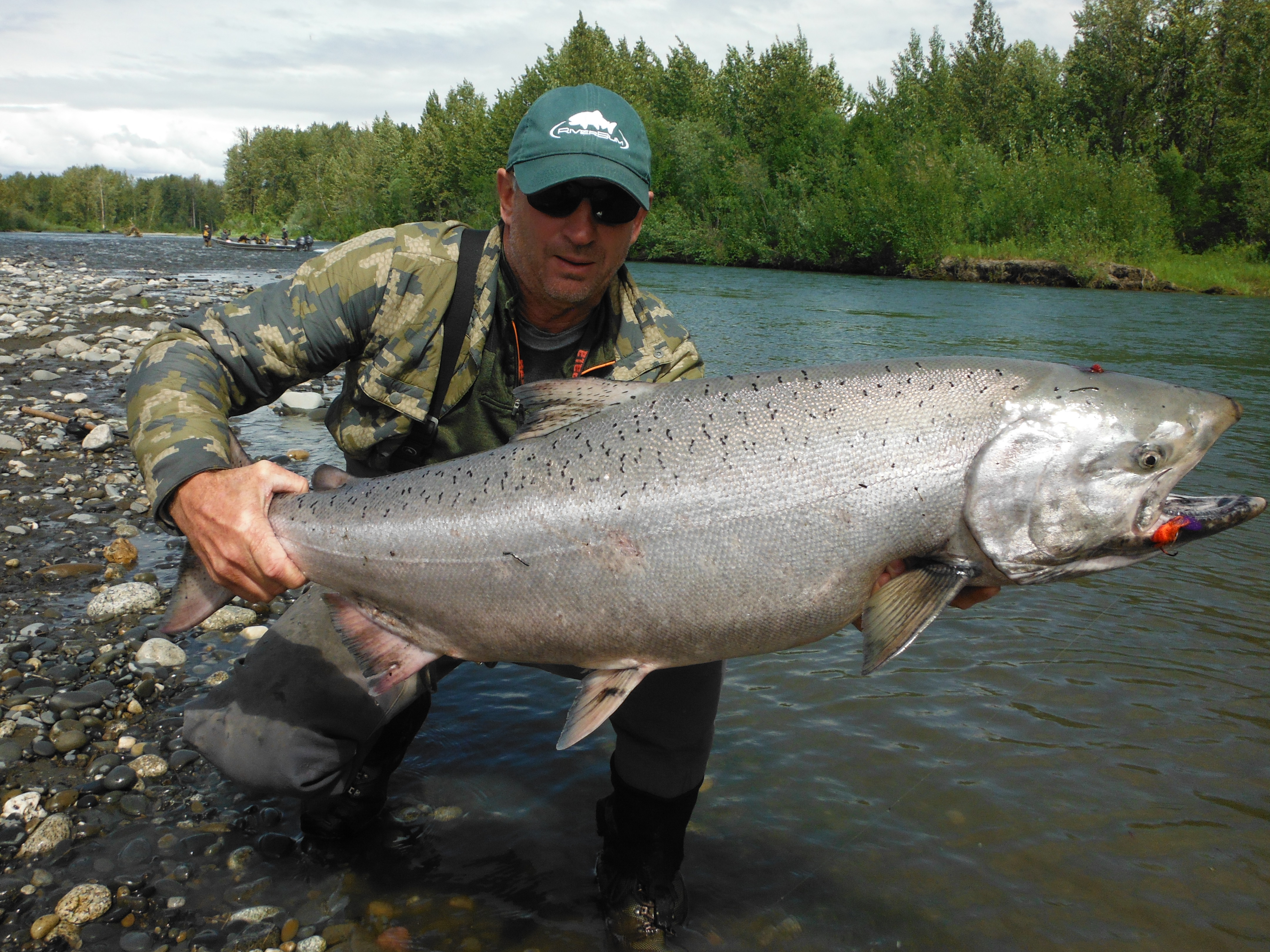 Dip Net Fishing for salmon in the Copper River, Alaska -- catching silvers  and kings 