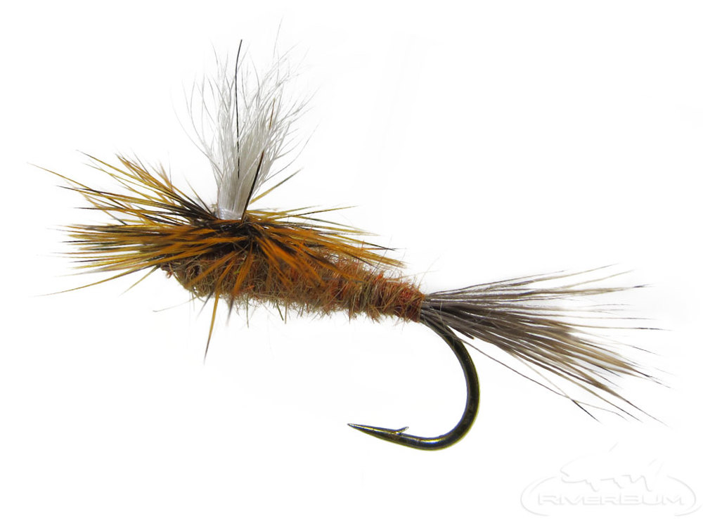 Jig Style Nymphs  RiverBum Fly Fishing Flies