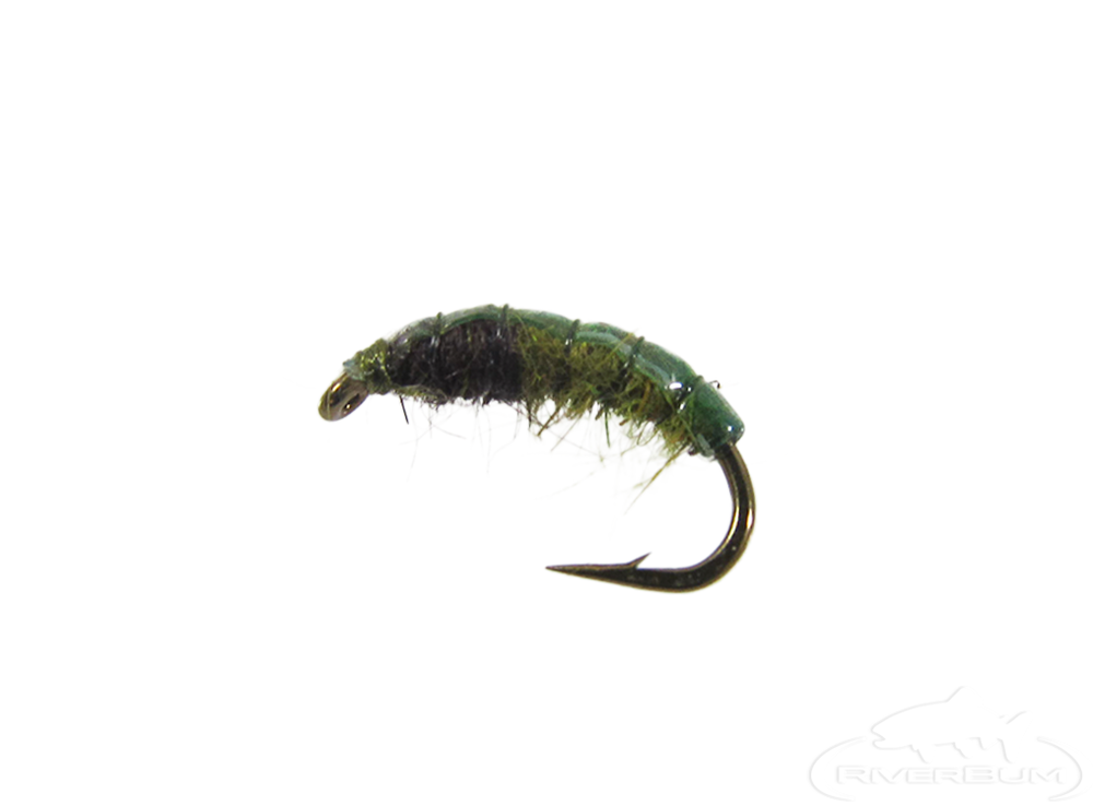 Czech Nymph, Caddis, Olive