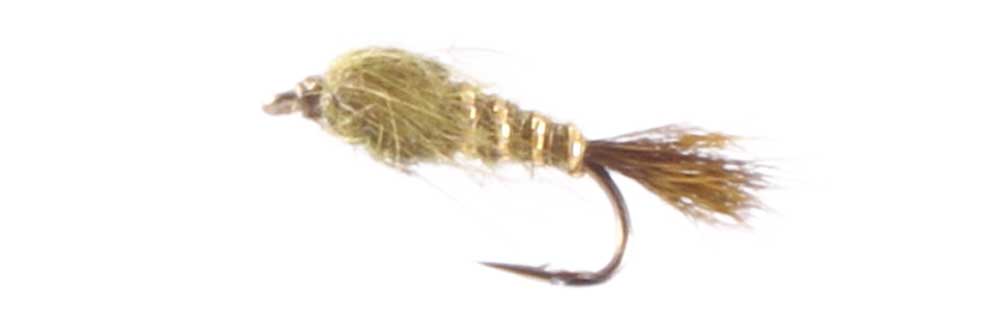 Fly Fishing Gift Tote | Caddis Fly Design | Fish Face