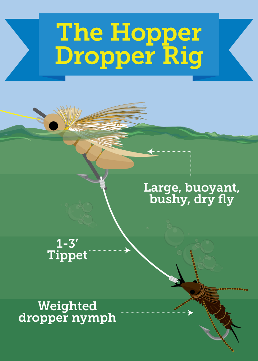 Hopper Dropper Rig 