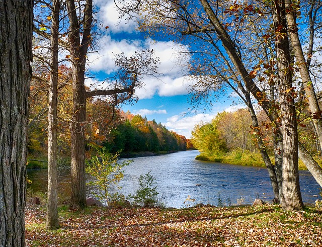 Options for Fall Trout Fishing