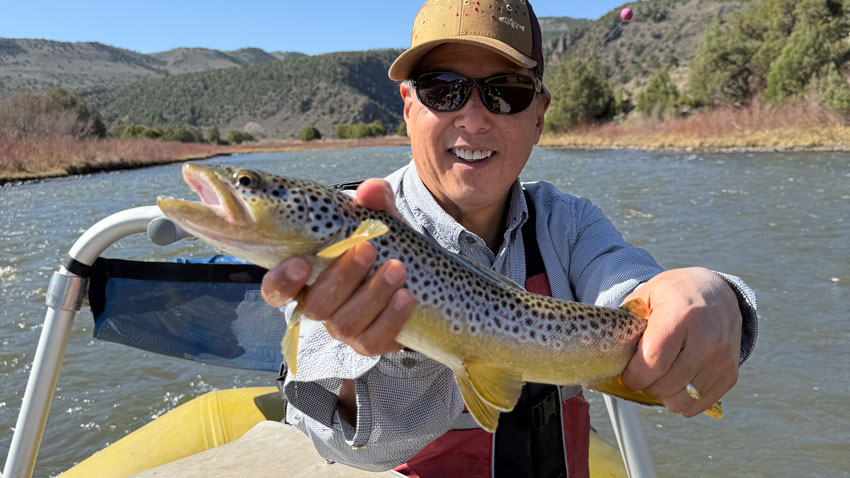 Fly fisherman holding a brown trout | Why a prince nymph is one of the best fly fishing patterns