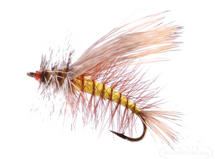 5 Basic Flies Every Angler Should Know