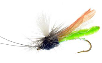 Headlight Caddis, Green