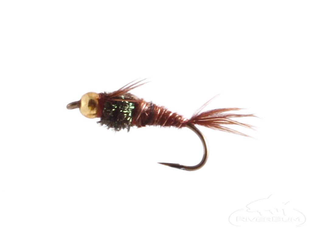 Pheasant Tail Nymph, Tungsten Bead Head