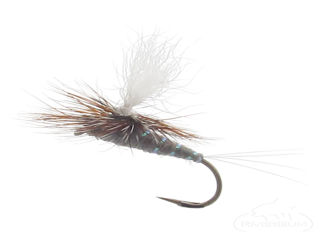 Attractor Dry Flies for Trout - Fly Fishing Flies – BigTimeFlies