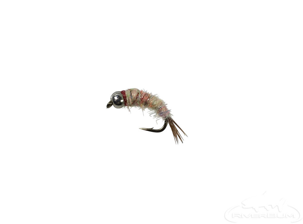 rainbow tungsten warrior fall fishing fly
