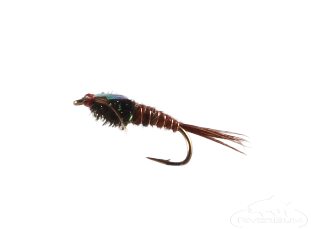 Flashback Pheasant Tail - Size 18 