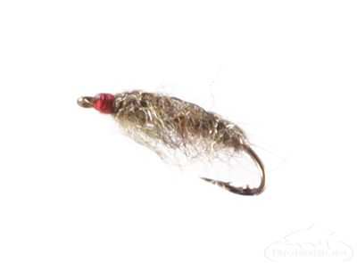 Mark Sturtevant: Have the right flies for fall fishing